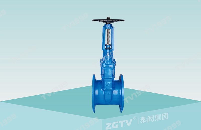 明杆彈性座封閘閥