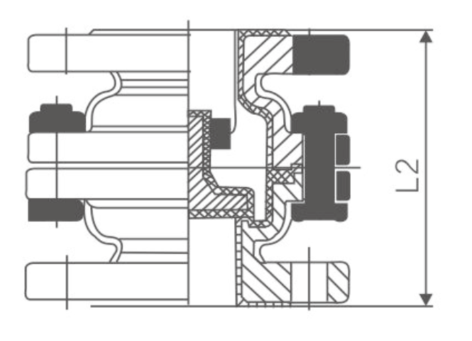 1襯氟升降立式止回（huí）閥H42F46(圖2)