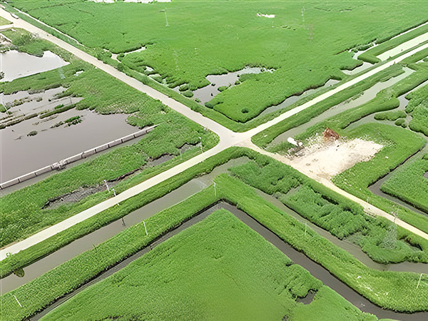 打造綠色低碳油田 做綠色發展的“頂（dǐng）梁柱”(圖1)